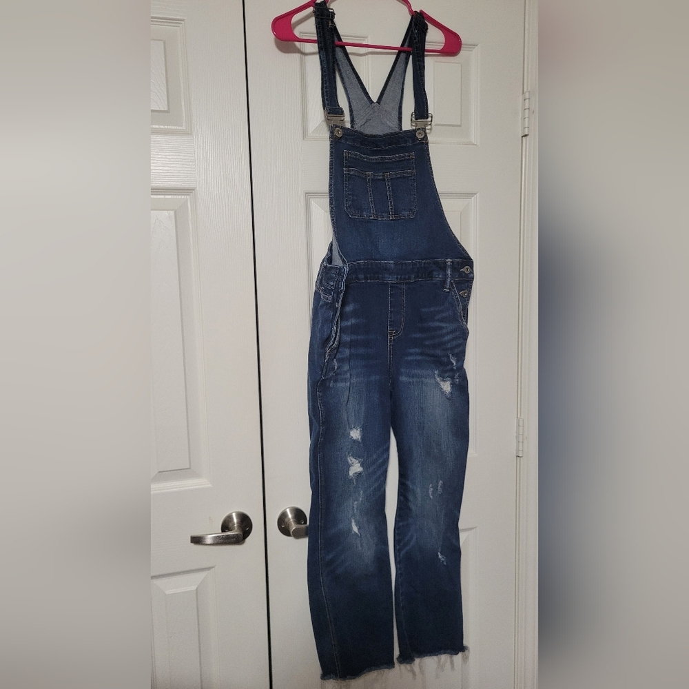 TORRID Straight Overall Vintage Stretch Jean